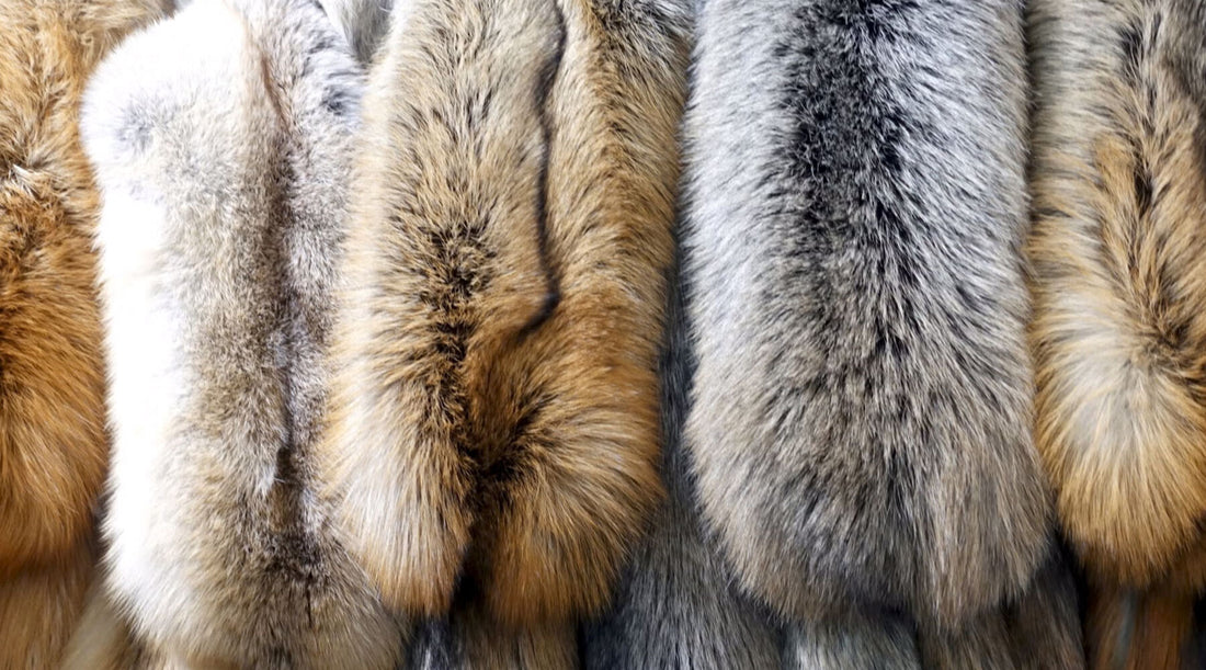 How to Store Your Fur Coats During Off-Season