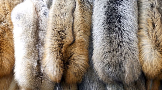 How to Store Your Fur Coats During Off-Season