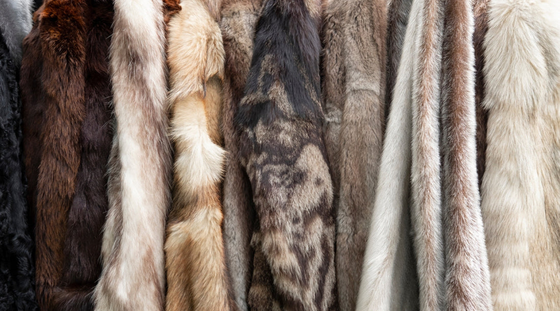 Everything You Need To Know About Starting Fur Clothing Brand