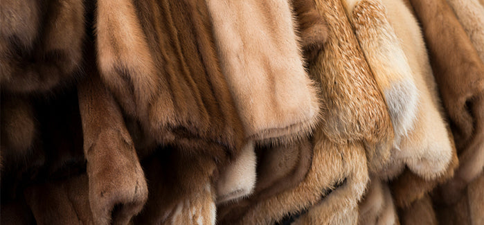 Our Excellence As A Fur Supplier