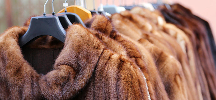 Fur Suppliers In USA